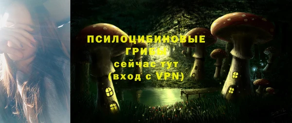 стафф Балахна