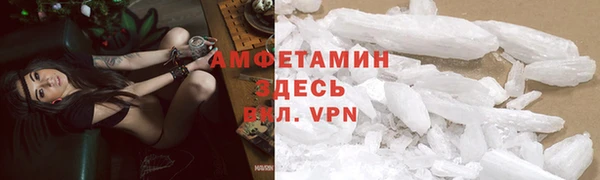 прущие грибы Беломорск