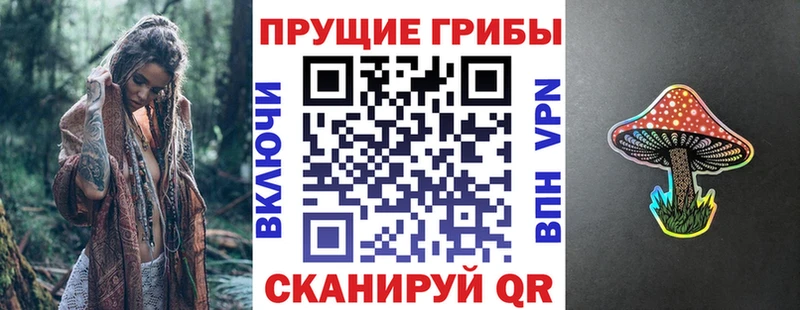Купить  Ядрин  Галлюциногенные грибы мицелий 